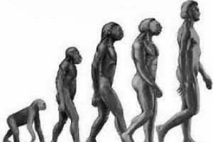 Psicologia do Desenvolvimento