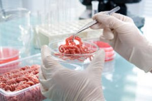 Introdução à Inspeção de Alimentos de Origem Animal 