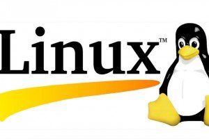 Linux