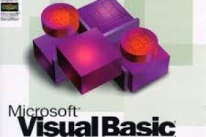Visual Basic