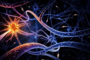 Introdução à neuropsicologia da idade adulta e envelhecimento