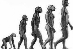 Psicologia do Desenvolvimento