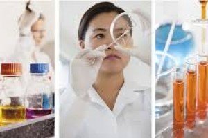 Introdução à Gestão e Qualidade em Serviços Farmacêuticos
