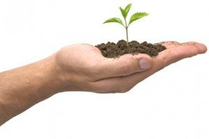 Introdução à Politica e Gestão Ambiental