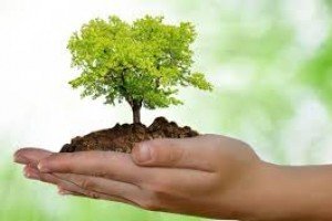 Técnicas Aplicadas ao Meio Ambiente