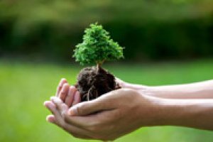 Introdução ao Licenciamento Ambiental