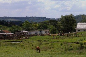 Introdução à avaliação de imóvel rural