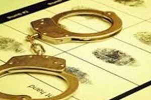 Introdução ao Direito Criminal e a Segurança Pública